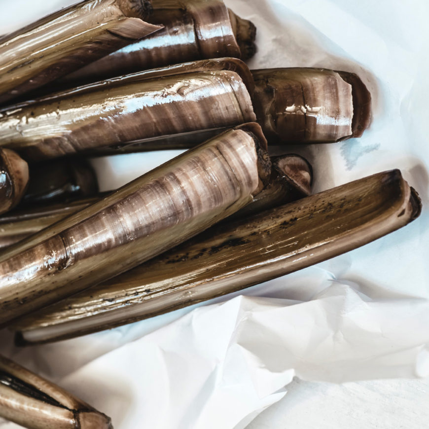 aaseafoods ltd razor clams supplier in ireland europe england